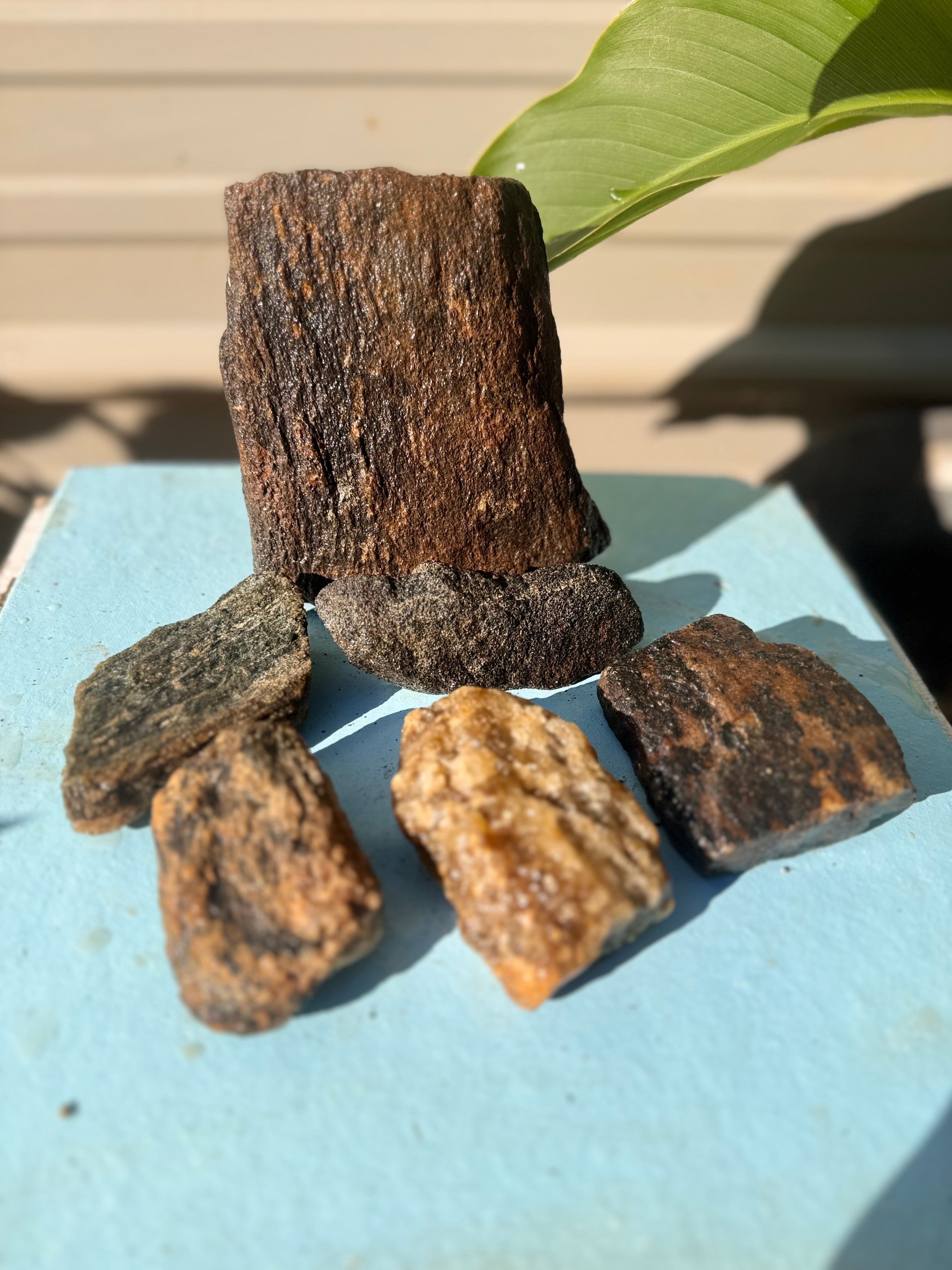 The Fossil Kit (team edition)